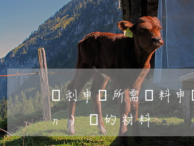 專利申請所需資料(申請專利需要準(zhǔn)備的材料)