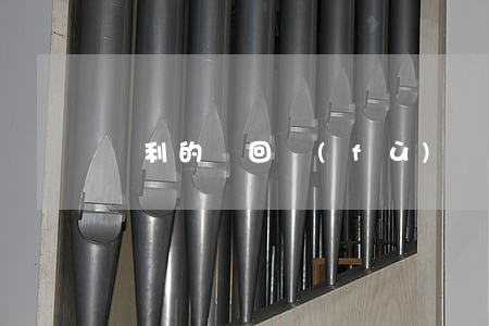 專利的駁回復(fù)審可以做幾次