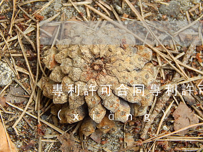 專利許可合同，專利許可合同簽訂的注意事項(xiàng)
