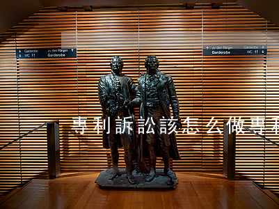 專利訴訟該怎么做(專利訴訟該怎么做)