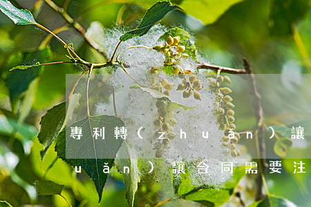 專利轉(zhuǎn)讓合同(專利轉(zhuǎn)讓合同需要注意什么)