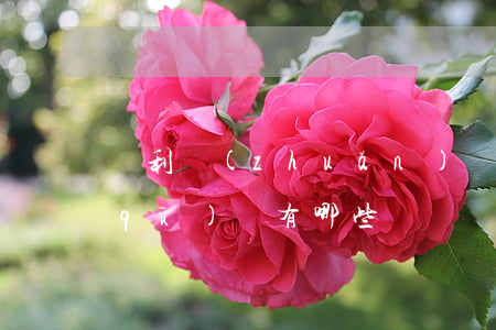 專利轉(zhuǎn)讓和專利申請的區(qū)別有哪些