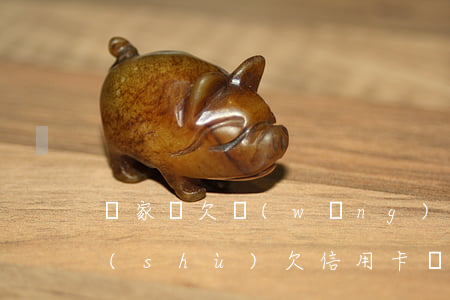 專家談欠網(wǎng)貸和信用卡的人數(shù)(欠信用卡網(wǎng)貸幾十萬(wàn))