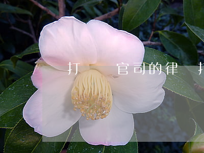專打車禍官司的律師(打交通官司的律師)
