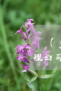 專業(yè)個(gè)人債務(wù)處理公司