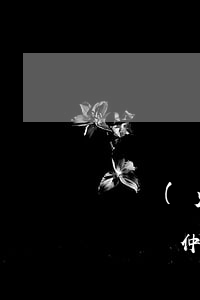 專業(yè)勞動仲裁律律師(專業(yè)勞動仲裁律律師)