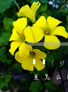 專業(yè)協(xié)商貸款逾期那些是怎么協(xié)商-專業(yè)協(xié)商貸款逾期那些是怎么協(xié)商的呢