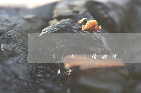 專業(yè)婚姻律師費用多少(婚姻官司律師費多少錢)