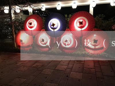 專業(yè)技術(shù)資格是什么