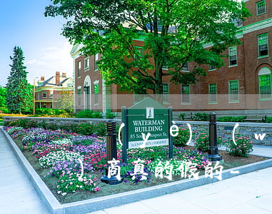 專業(yè)網(wǎng)貸協(xié)商真的假的-網(wǎng)貸協(xié)商是真的嗎