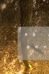 專業(yè)處理信用卡網(wǎng)貸逾期的機構(gòu)-網(wǎng)貸逾期與信用卡逾期的后果