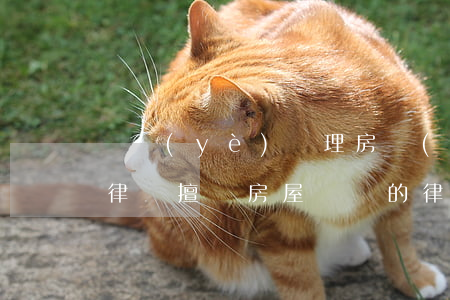 專業(yè)處理房產(chǎn)糾紛的律師(擅長房屋糾紛的律師是什么律師)