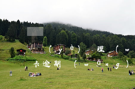 專業(yè)處理網(wǎng)貸及信用卡逾期(網(wǎng)貸逾期對(duì)信用卡使用)