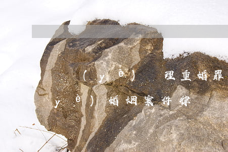 專業(yè)處理重婚罪的律師(重慶專業(yè)婚姻案件律師)