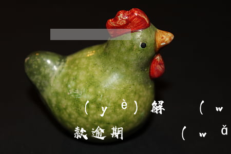 專業(yè)解決網(wǎng)貸信用卡貸款逾期問題(網(wǎng)貸從未逾期過 辦信用卡被拒)