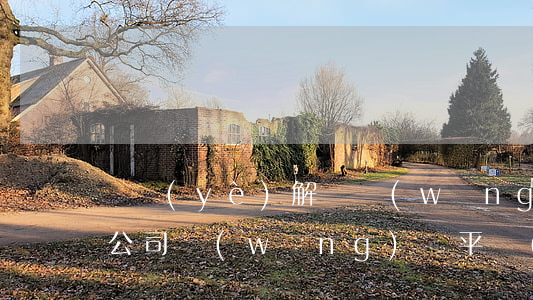 專業(yè)解決網(wǎng)貸逾期的公司(網(wǎng)貸平臺(tái)逾期怎么辦)