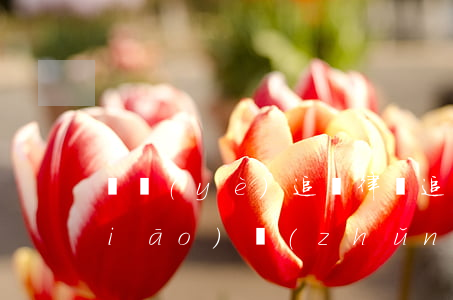 專業(yè)追債律師(追債律師收費標(biāo)準(zhǔn))