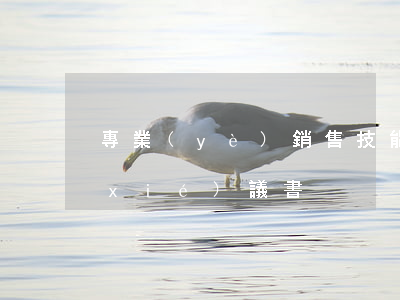 專業(yè)銷售技能培訓(xùn)協(xié)議書