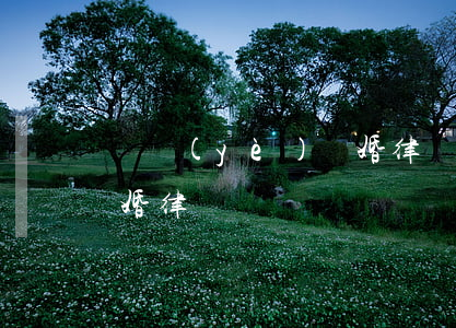 專業(yè)離婚律師(泉州專業(yè)離婚律師)