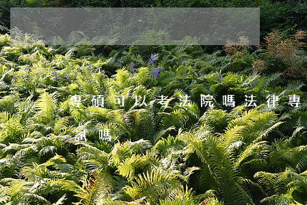 專碩可以考法院嗎(法律專碩可以參加司法考試嗎)
