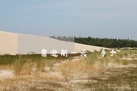專票逾期一天罰多少錢（專票逾期一天罰多少錢）
