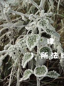 專職律師可以當法律顧問嗎(律師事務(wù)所法律顧問工資高嗎)