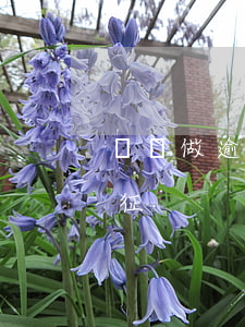 專門做逾期客戶的貸款(分析貸款逾期客戶特征)