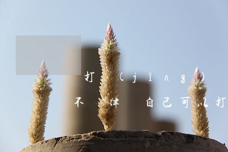 專門打經(jīng)濟(jì)案件的律師(不請律師自己可以打經(jīng)濟(jì)糾紛案件嗎)