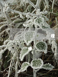 專門處理交通事故理賠律師(處理交通事故得律師)