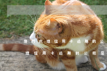 專門處理信用卡逾期的公司是哪家-專門處理信用卡逾期的公司是哪家公司