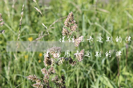 專門處理信用卡逾期的律師是真的嗎-專門處理信用卡逾期的律師是真的嗎嗎