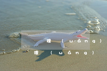 專門處理網(wǎng)貸的免費律師(專門處理網(wǎng)貸的律師有用嗎?)