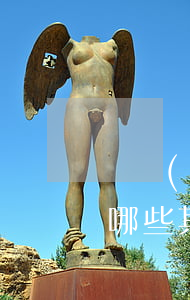 專項(xiàng)法律服務(wù)包括哪些(其他法律服務(wù)包括哪些)