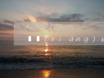 專項(xiàng)法律顧問