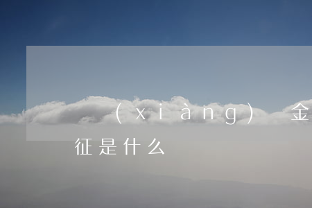 專項(xiàng)資金的審計(jì)特征是什么