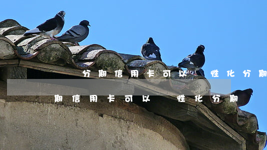 專項分期信用卡可以個性化分期嗎-專項分期信用卡可以個性化分期嗎
