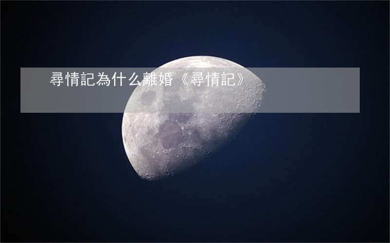 尋情記為什么離婚(《尋情記》)