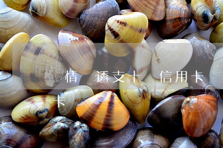 尋情記透支十張信用卡(尋情記透支十張信用卡)
