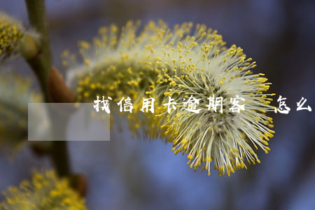 尋找信用卡逾期客戶(怎么找信用卡逾期的人)