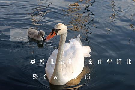 尋找北京刑事案件律師(北京刑事案的律師事務(wù)所)