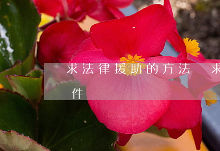 尋求法律援助的方法(尋求法律援助需要什么條件)