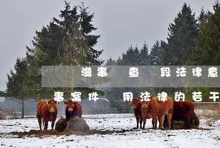 尋釁滋事偵查階段法律意見(辦理尋釁滋事刑事案件適用法律的若干問題司法解釋)