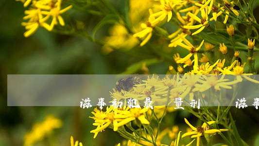 尋釁滋事初犯最輕量刑(尋釁滋事最輕的量刑)