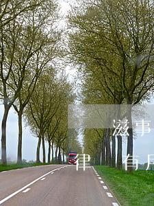 尋釁滋事找律師多少錢(尋釁滋事到了法院請律師有用嗎?)