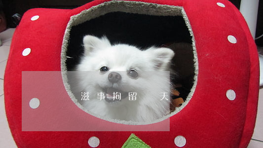 尋釁滋事拘留幾天