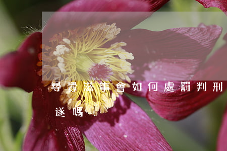 尋釁滋事會如何處罰判刑（尋釁滋事罪存在未遂嗎）