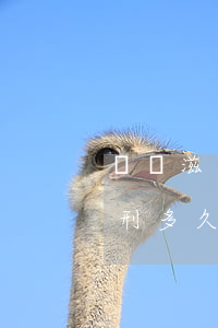 尋釁滋事緩刑罰金需要多少(尋釁滋事最低判刑多久)