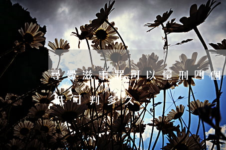 尋釁滋事罪可以量刑四個月嗎(尋釁滋事罪最低可判多久)