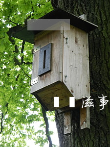 尋釁滋事罪必須造成輕傷嗎？