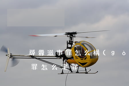 尋釁滋事罪怎么構(gòu)成的(尋釁滋事罪怎么定罪)